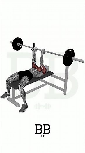 Reverse Close Grip Bench (TRICEPS): The "Underhand" Secret for Massive Arms! 💪🔥
