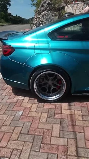 #1mgod when the pit bull bark no dawg no bbc walk....