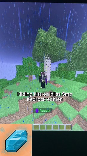 #fyp #bedrockedition #realms #realms2025 #join #minecraft #blisssmp #bestrealm #thebestrealm