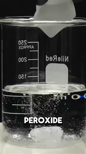 Making transperant wood from scratch.#shorts