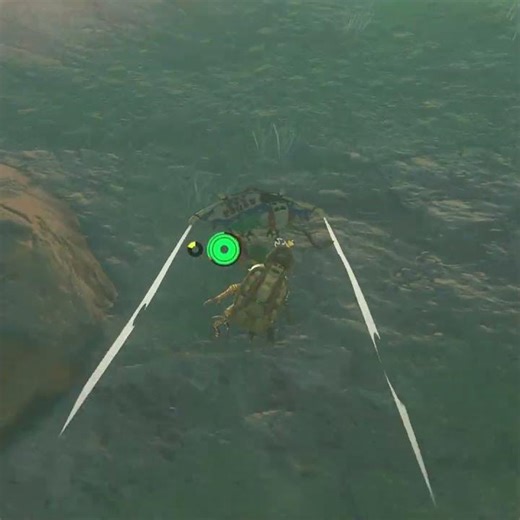 【ティアキン】ウォルナー高地のイワロック ゼルダの伝説ティアーズ オブザキングダムNintendo Switch 2 Edition #ティアキン #shorts