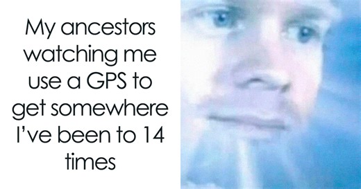 50 Random Memes That Make You Laugh Before You Understand Why