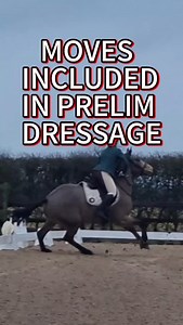 Some very basic Prelim movements shown by the boys at their first outing of the year... Hero hasn’t done a dressage test since April and Cruise has only been to one BD show in 2024 (before that… 2022 😬). Between the spooky moments, the surprise shapes and the occasional freestyle interpretation of the test, there was actually really lovely moments! Scores of 48 & 62% for Hero and 52 & 63% for Cruise. Was it polished? Absolutely not. Was it educational? Very. Is the first one out of the way? THA