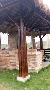 15K views · 195 reactions | ortes oniines y soportes bambu | Alejandro Hernandez | Facebook