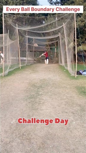 Hit करो 500 रुपये ले जाओ #cricket #shortsfeed #viral #shorts