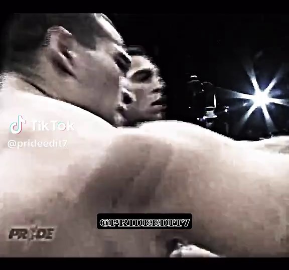 Mauricio Shogun Rua: UFC Journey and Highlights