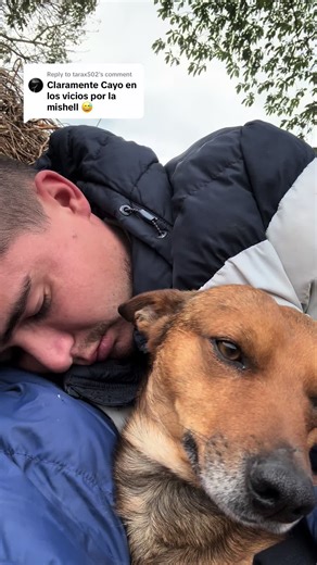 Replying to @tarax502 | mishell