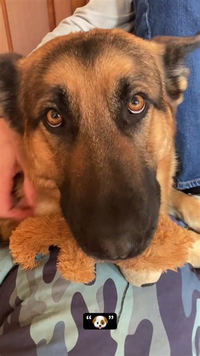 how to pronounce “//C//“