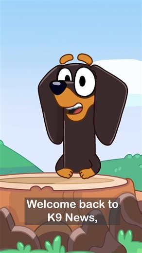 413K views · 10K reactions | Time to tune into K9 News for the latest updates from Snickers  #Bluey #BonusBit | Bluey | Facebook