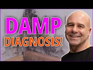 What Type Of Damp Do YOU Have In Your House?!