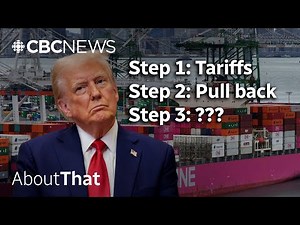 Trump's tariffs: What's the endgame? | About That