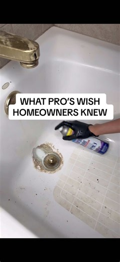 Pro Cleaner Tips for Easy Home Cleaning