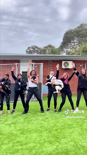 Support Dog Adoption with Save A Dog Initiative