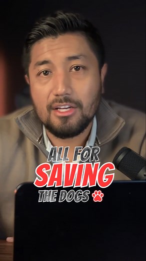 Every ad, every strategy, every win—it all leads back to saving dogs and helping them find forever homes. #CanineConversions #ForeverHomesMatter #DogsDeserveBetter #MissionDrivenMarketing #AdoptDontShop | Canine Conversions | Facebook