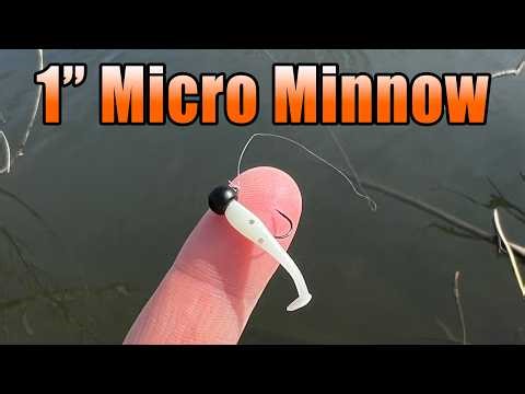 1" Micro Minnow - Super Tiny Nano Sized Swimbait for Trout and Panfish