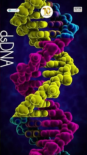 British Science Week 2025: Introducing Science into BYITC Curriculum | Science | Supermaths