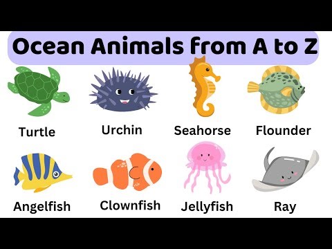 Fun and Easy Sea Animals | Learn Vocabulary Fast with Pictures! 🐬🐠 #learnenglish
