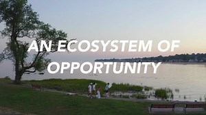 Dive into an ecosystem of opportunity! To prepare you to make an impact, our Marine & Environmental Sciences program and its concentrations incorporate many innovative, hands-on learning opportunities. Our location in Connecticut allows for a wide diversity of fascinating ecosystems to explore. Apply today with our waiver code! | University of New Haven