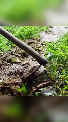 How to build a bridge over a stream - Part 3-1 #bushcraft #camp #camping #survival #shelter #wildlife #outdoors #outdoor #viral #fyp #foryou | Survival Bushcraft | Facebook