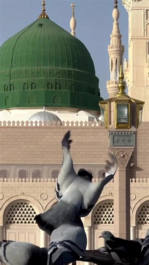 usa explorer💸 (@usa.explorer2)’s videos with original sound - Hassan Mirza