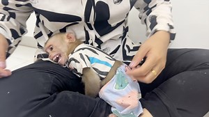 12K views · 472 reactions | Stubborn Baby Tauch Use His Trick Routine Each Time Having Food | Monkey Daily | Facebook