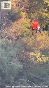 55K views · 510 reactions | A six-year-old boy SURVIVED a terrifying fall from a zipline at a park in Monterrey, Mexico, into a pool of water below. The child suffered minor injuries and is recovering after a bystander dove in to rescue him. | Breitbart | Facebook