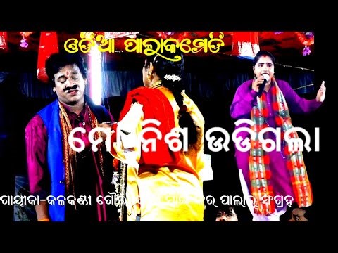 ମୋ ନିଶ ଉଡ଼ିଗଲା -କମେଡି - ODIA PALA COMEDY || MO NISA UDIGALA || GAYIKA GOURIBALA SWAIN