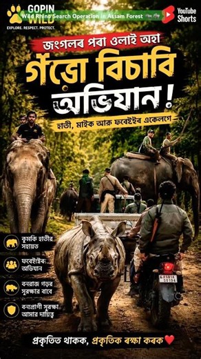 Forest Team & Kumki Elephants Searching for a Wild Rhino 🦏🐘 | Assam Wildlife Rescue!!