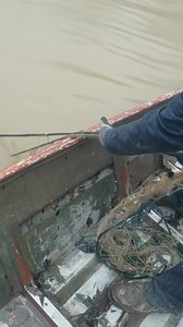 1.9M views · 10K reactions | Gill Net Fishing #buffalo #flathead | Winstead Bait Shop | Facebook