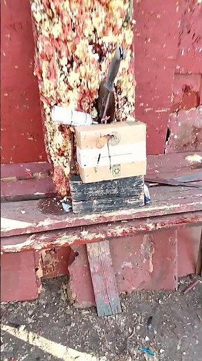 "Heavy Metal" SAMMY HAGAR