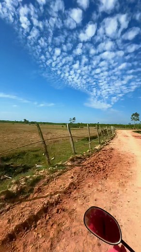 Cuộc sống bên cam thật bình yên 😘😘 | Châu Ngọc Vân