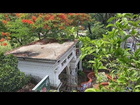 Dhaka College Campus Cinematic View || ঢাকা কলেজ || Beauty of Dhaka College Campus || DC