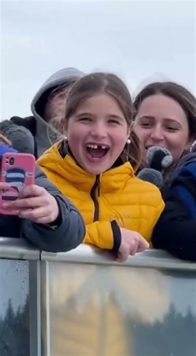 Penguin Braces for a Stunt… Then SLIDES Like a Pro 😂🐧❄️