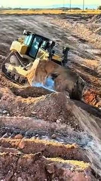 CAT 8 — The Most Powerful Protocol Yet