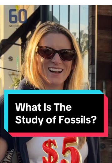 What is the Study of Fossils? Fun Science Trivia!