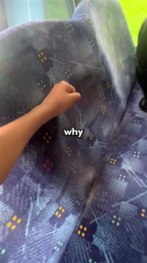 Why Bus Seats Are Designed To Be Dirty 🦠