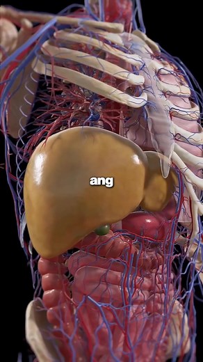 Identify Early Kidney Disease Symptoms for Better Health