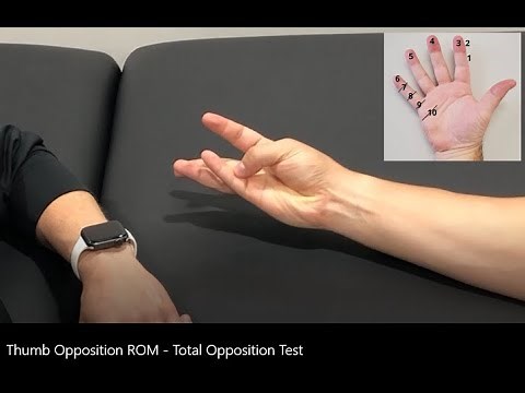 Range of Motion Measurement: Thumb Opposition - Total Opposition Test