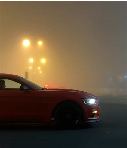 ‏#mustang #bahrain #explore #fyp | mustang