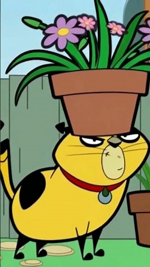 AI Cat vs. Flower Pot: Who Will Win? 😂🌼