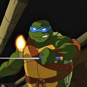TMNT Leo 2003 Version Edit Song Montagem Alquimia 🔥#edit #tmnt #ninjaturtle #teenagemutantninjaturtles #leo