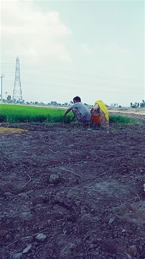 Pawan Deep (@pawandeep947)’s videos with original sound - 𝓙𝓐𝓢𝓢 ⚠️