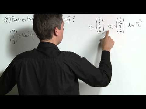 Exercise 7 (Vector Spaces) [00900]