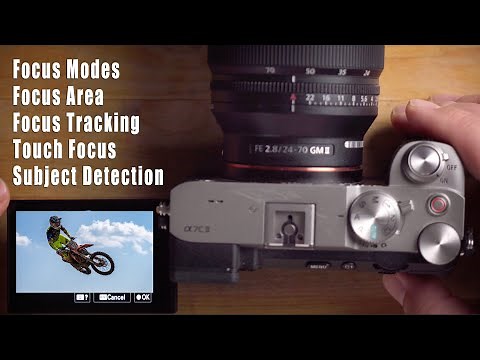 Master Sony Auto Focus with These Settings….