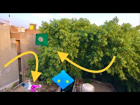 Caught Kite From Rooftop Man kite