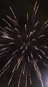 3 inch 25 Shots Display Shells Fireworks 2025 #fireworks #fireworkshow #pyro #pyrography #fireworksdisplay #4thofJuly | Firework Cloud