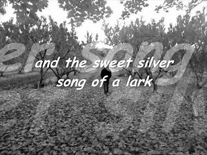 You'll never walk alone lyrics