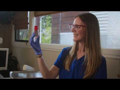 How to Shock Your Dental Waterlines