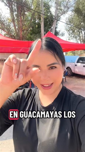 Aún no sabes que comer ?? | Guacamayas los compas