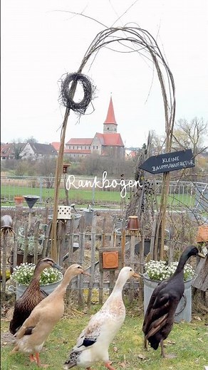 DIY Rankbogen, Rosenbogen, Rankgerüst für Rankpflanzen, Schlingpflanzen / Gartenideen im Naturgarten
